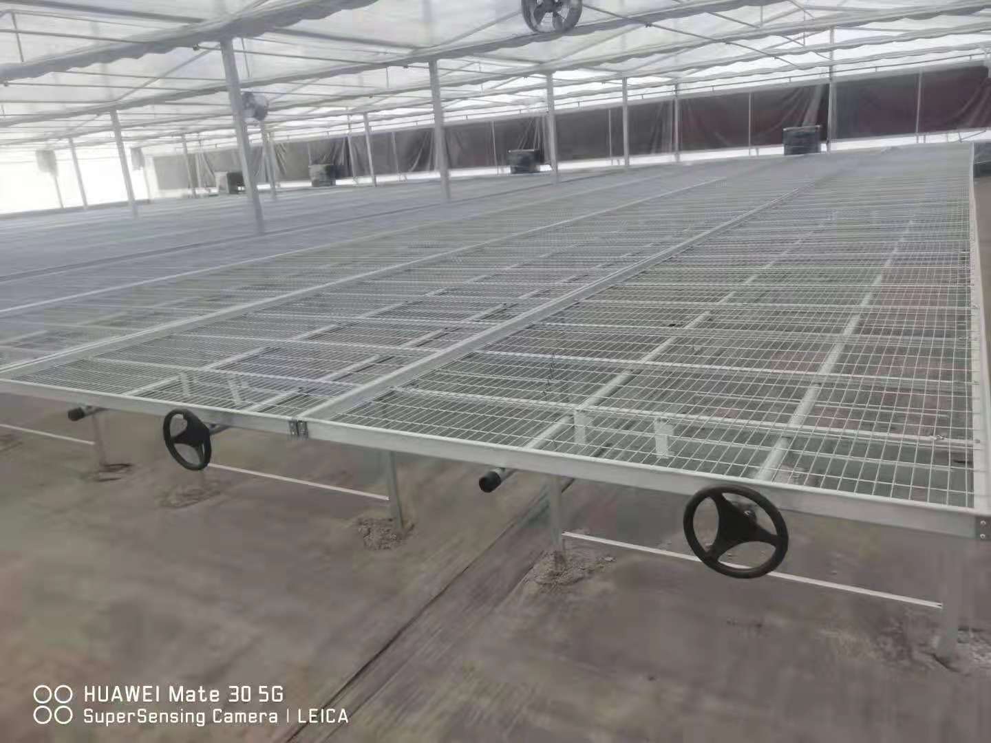 1647237780153660.jpg 3a34d06b30e2ae53b76d57f3e91319e.jpg