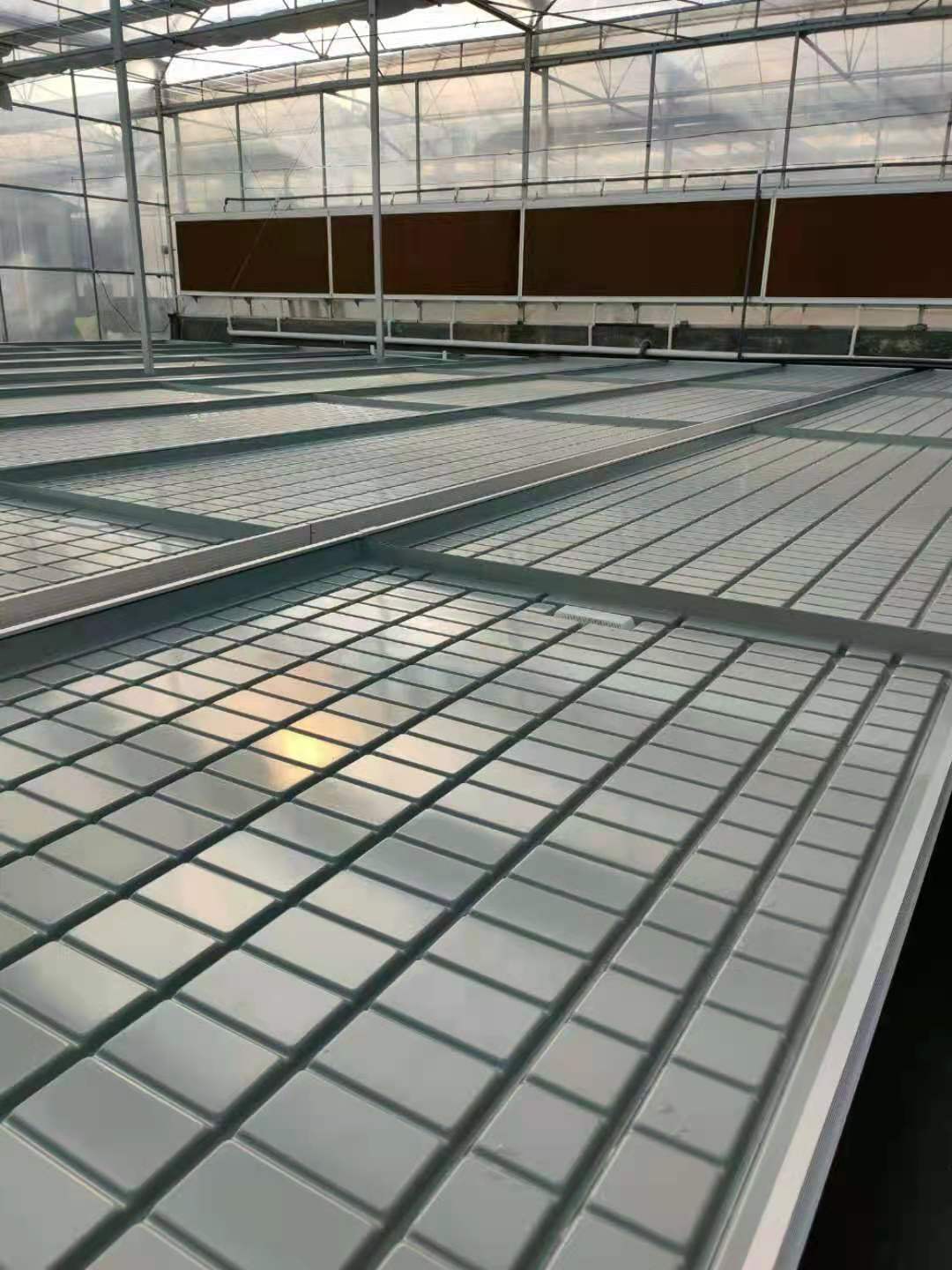 1647238940922381.jpg 8b0a91f85ff7398b58f91f67410f756.jpg